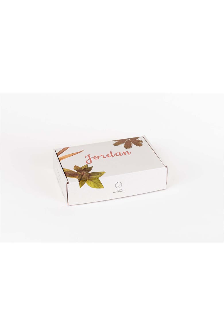 Earthy Shower Steamer Gift Box, Set of 12, Alternate, color, None