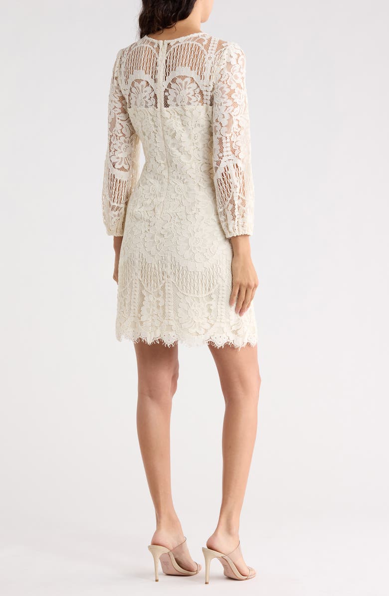 Vince Camuto Raglan Long Sleeve Lace Dress, Alternate, color, 