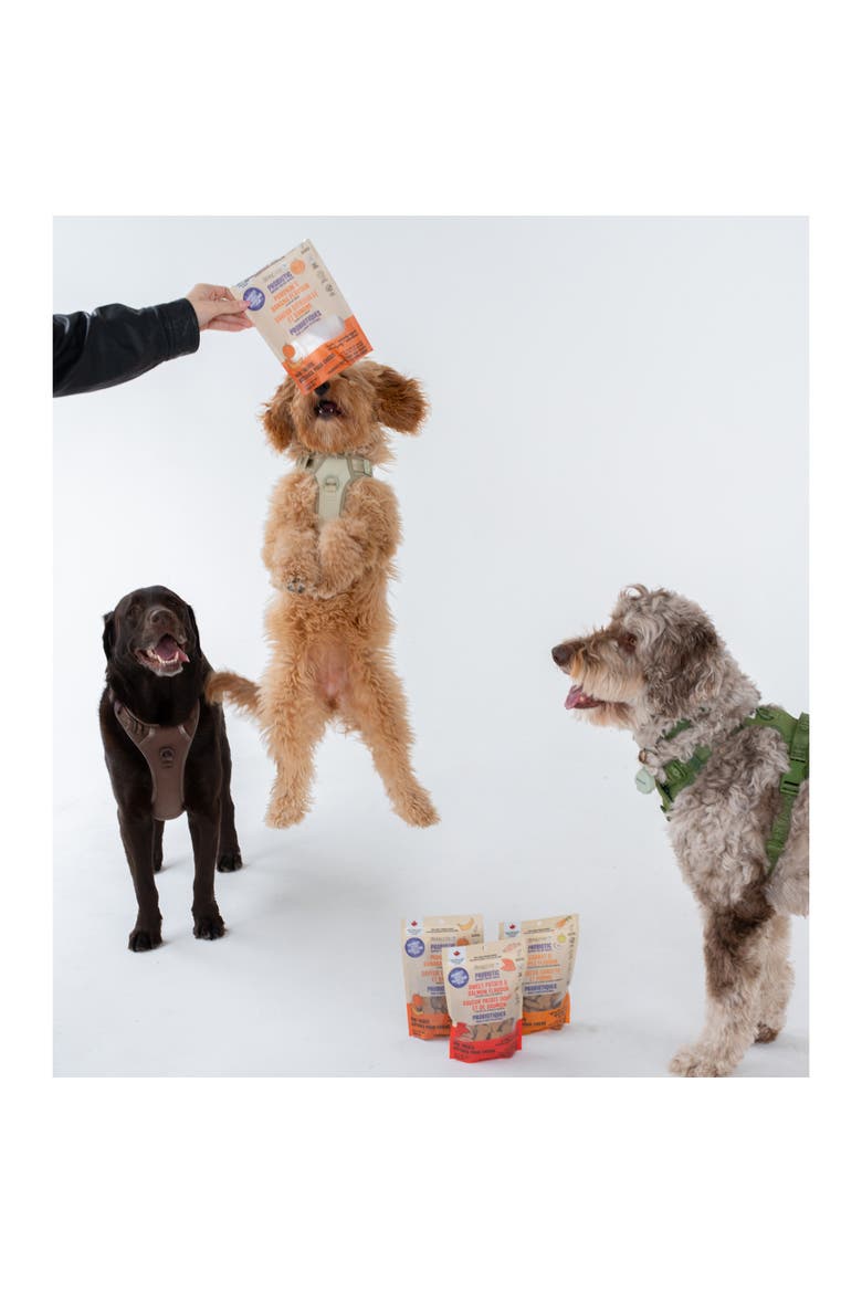 Pumpkin & Banana 8oz Probiotic Dog Treats, Alternate, color, Orange