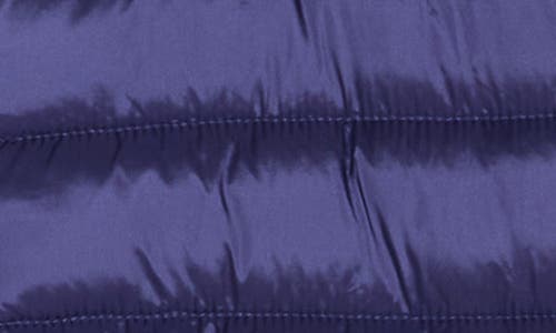 Save The Duck Ollie Puffer Jacket In Blue