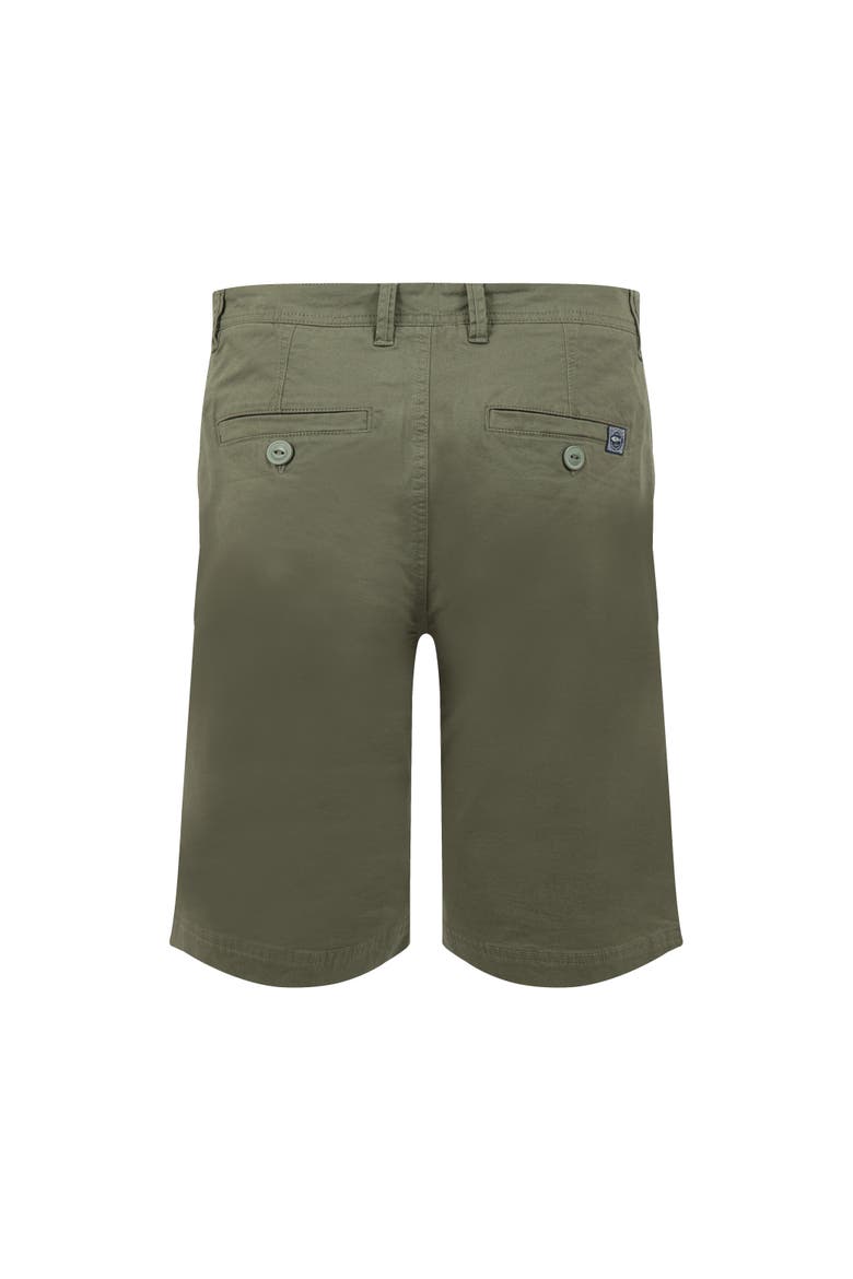Rayburn Flat Front Shorts, Alternate, color, Dark Olive