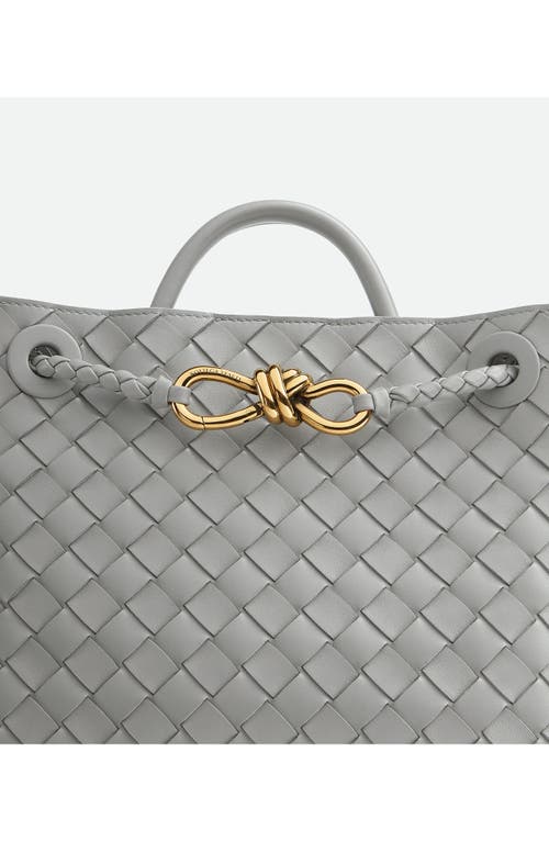 Bottega Veneta Small Andiamo Intrecciato Shoulder Bag