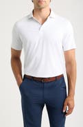 Peter Millar Tenuto Microprint Crown Crafted Performance Jersey Golf Polo