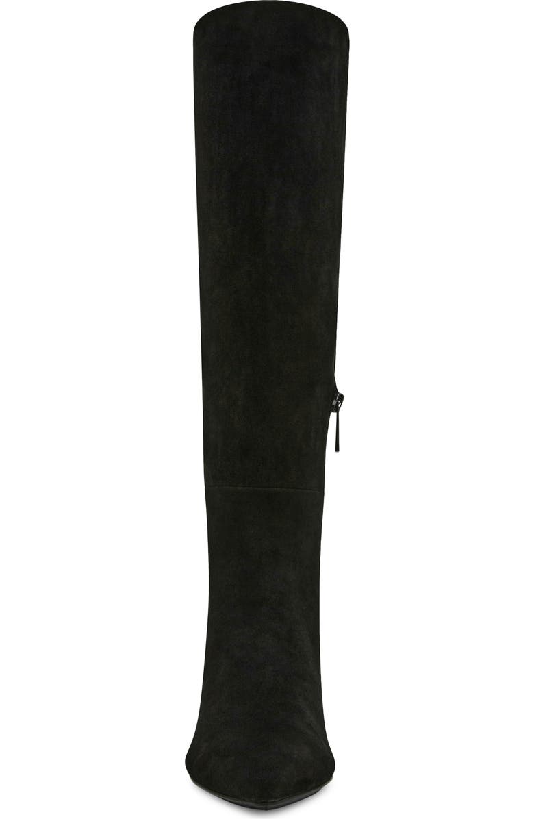 Anne Klein Rene Pointed Toe Knee High Boot, Alternate, color,