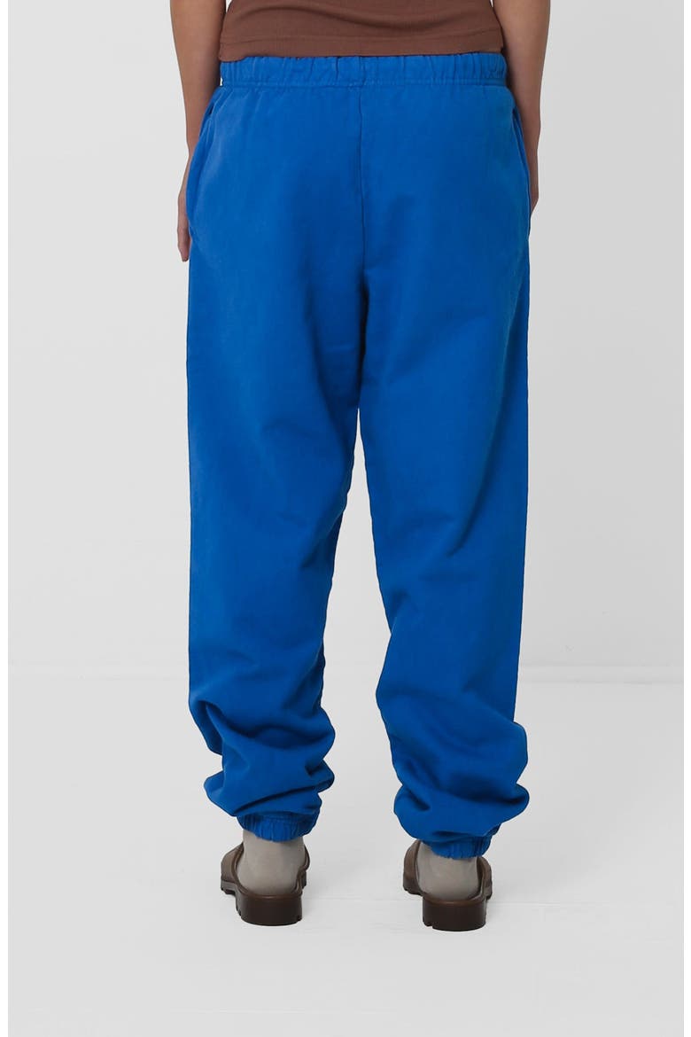 Trash Sweatpants, Alternate, color, Lapis
