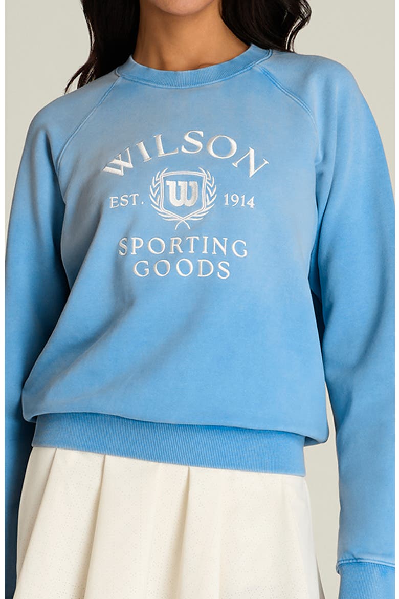 Classic Graphic Crewneck Sweatshirt, Main, color, ALLY BLUE