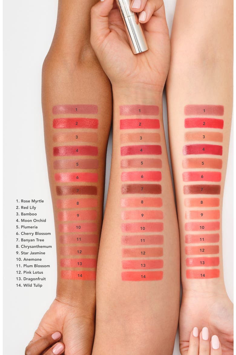 Lip Crème (Nordstrom Exclusive), Alternate, color, PINK LOTUS