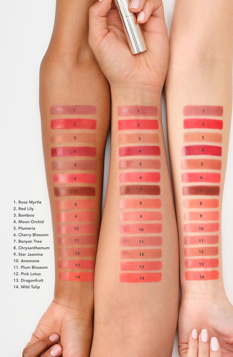 Chantecaille Lip Crème, Alternate, color, Banyan Tree