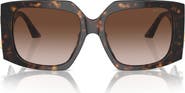 Jimmy Choo 55mm Gradient Butterfly Sunglasses