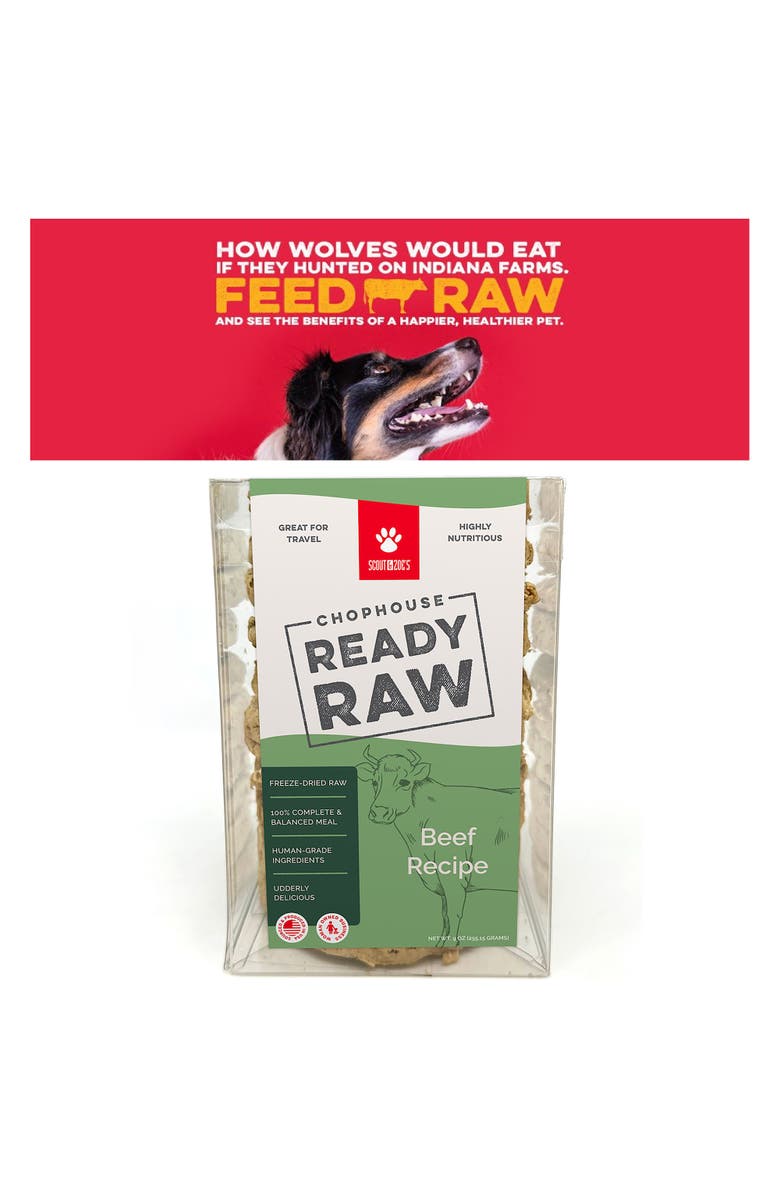 Scout & Zoe's Chophouse Ready Raw, Beef, 9 Dog Food Freeze Dried Patties, Alternate, color, Multicolored