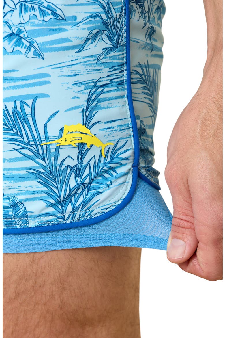 Baja Birds Eye View Board Shorts, Alternate, color, AQUA SPLASH