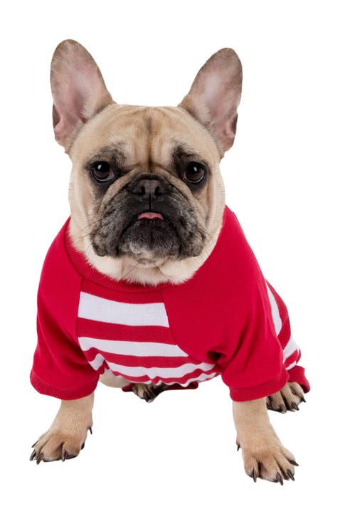 Dog Cotton Striped Matching Family Holiday Pajamas