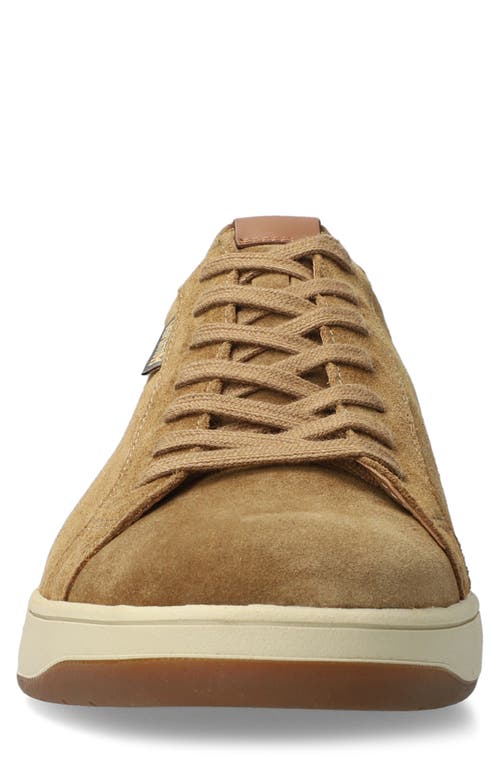 Mephisto Hasko Low Top Sneaker In Spice Velsport
