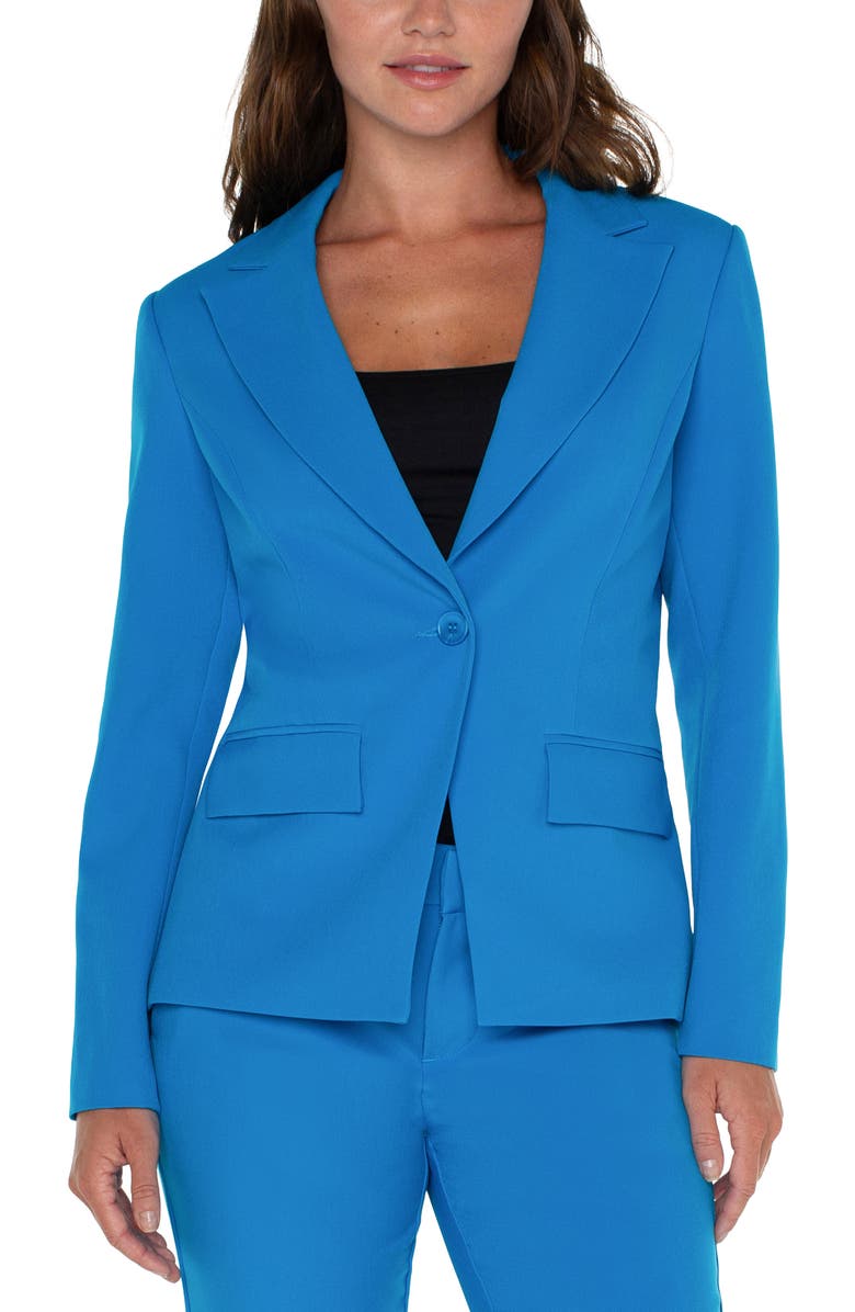 Liverpool Los Angeles One-Button Blazer, Alternate, color, 