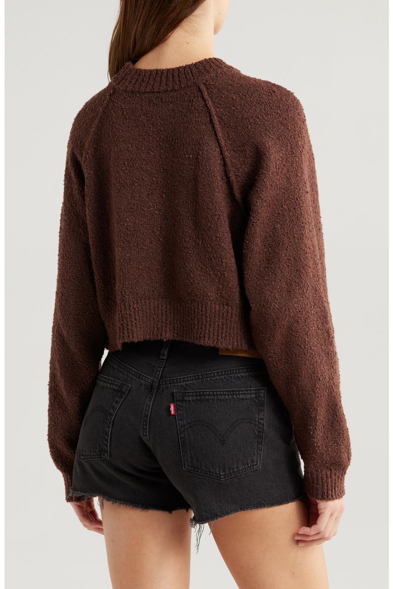 Snug Raglan Sleeve Crop Sweater, Alternate, color, FRENCH ROAST