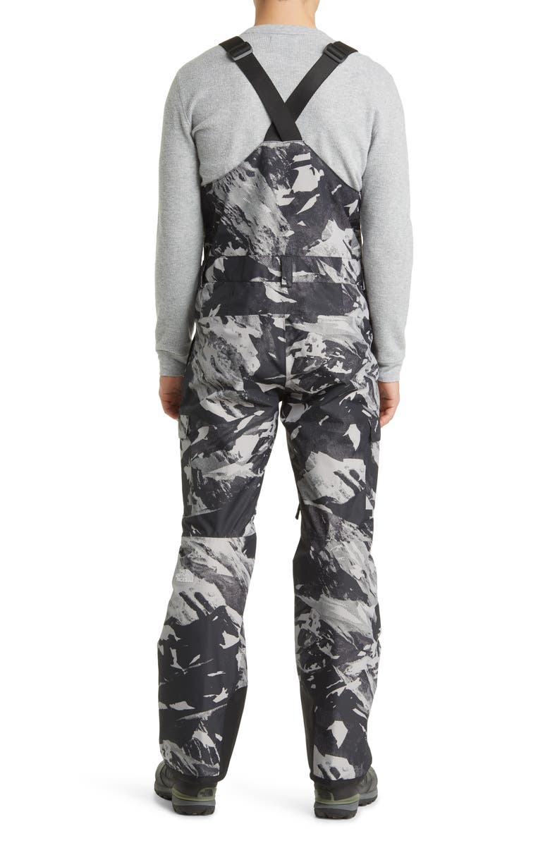 The North Face Freedom Waterproof Snow Bibs, Alternate, color, 