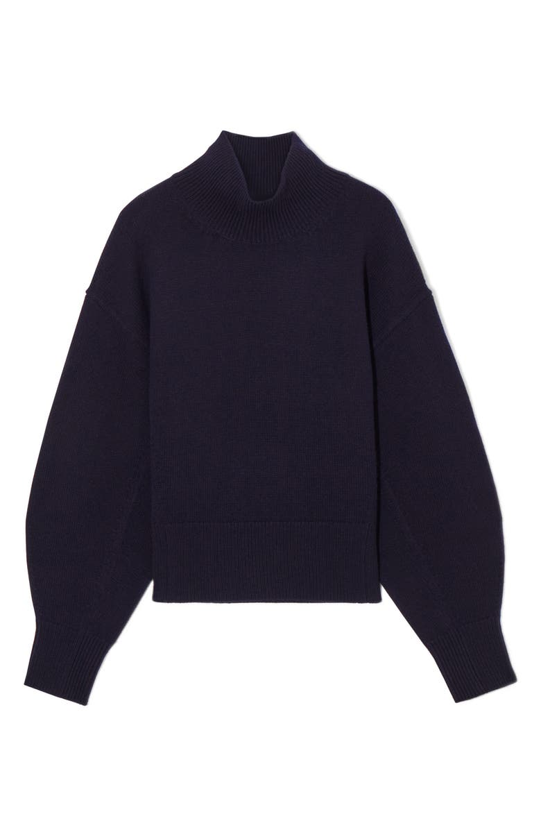 COS Wool & Mohair Blend Turtleneck Sweater, Alternate, color, 