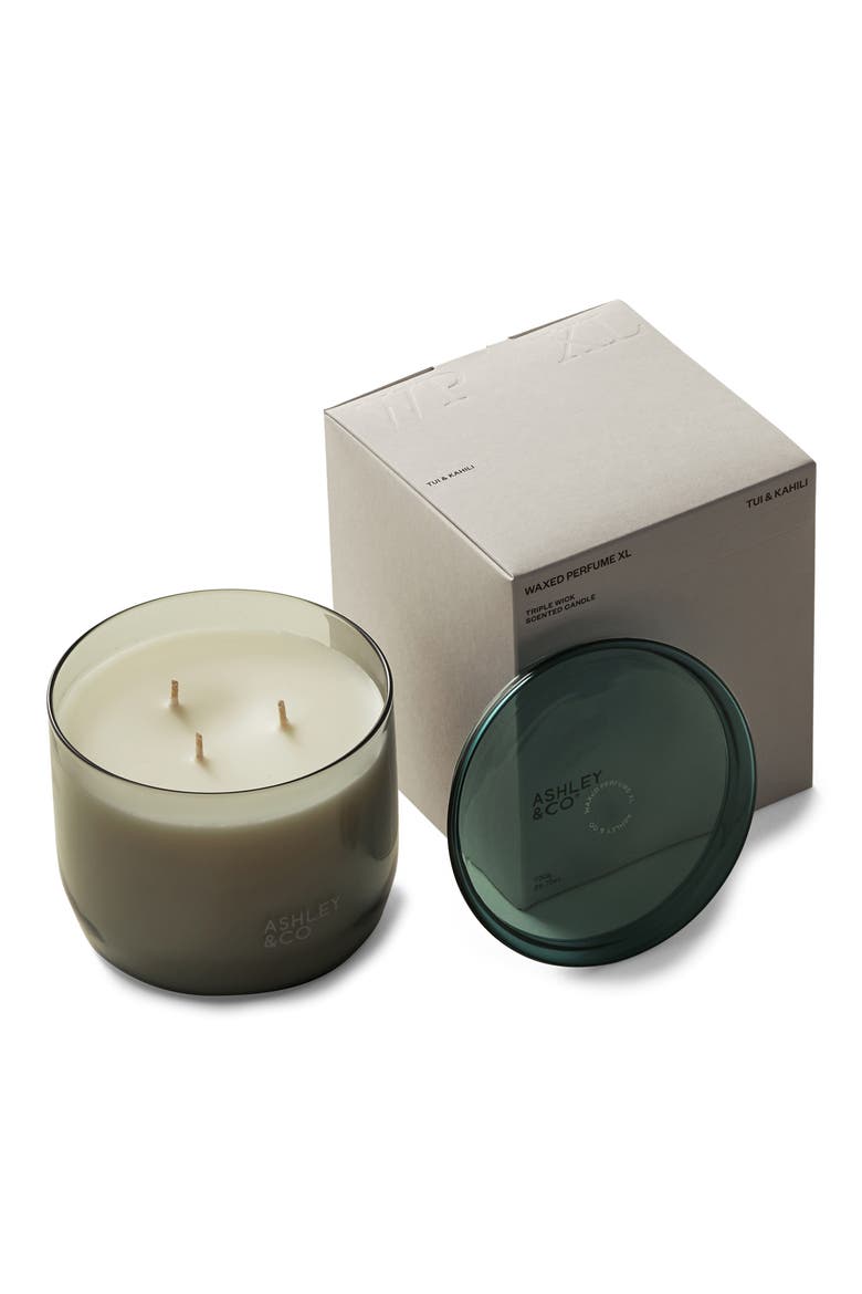 Waxed Perfume XL Scented Candle, Main, color, BLOSSOM GILT