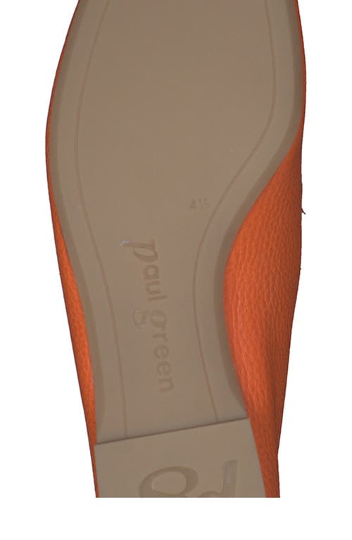 Paul Green Taylor Loafer In Papaya Grained
