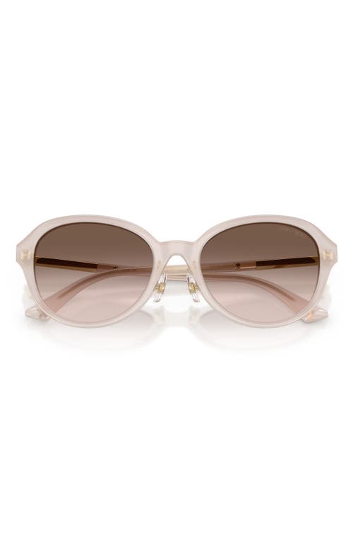 Jimmy Choo 54mm Phantos Sunglasses