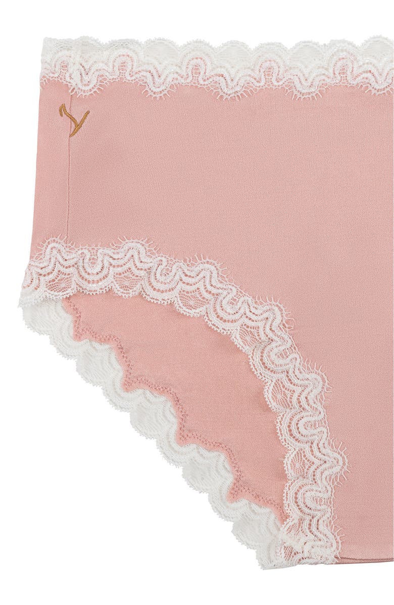 Uwila Warrior Soft Silk Lace Trim Silk Briefs, Alternate, color, 