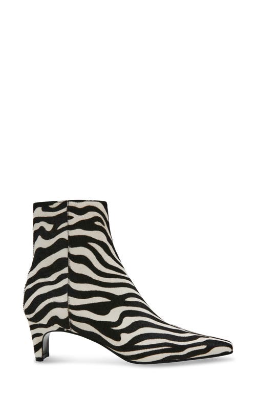 Steve Madden Delvie Zebra Faux Calf Hair Bootie In Zebra