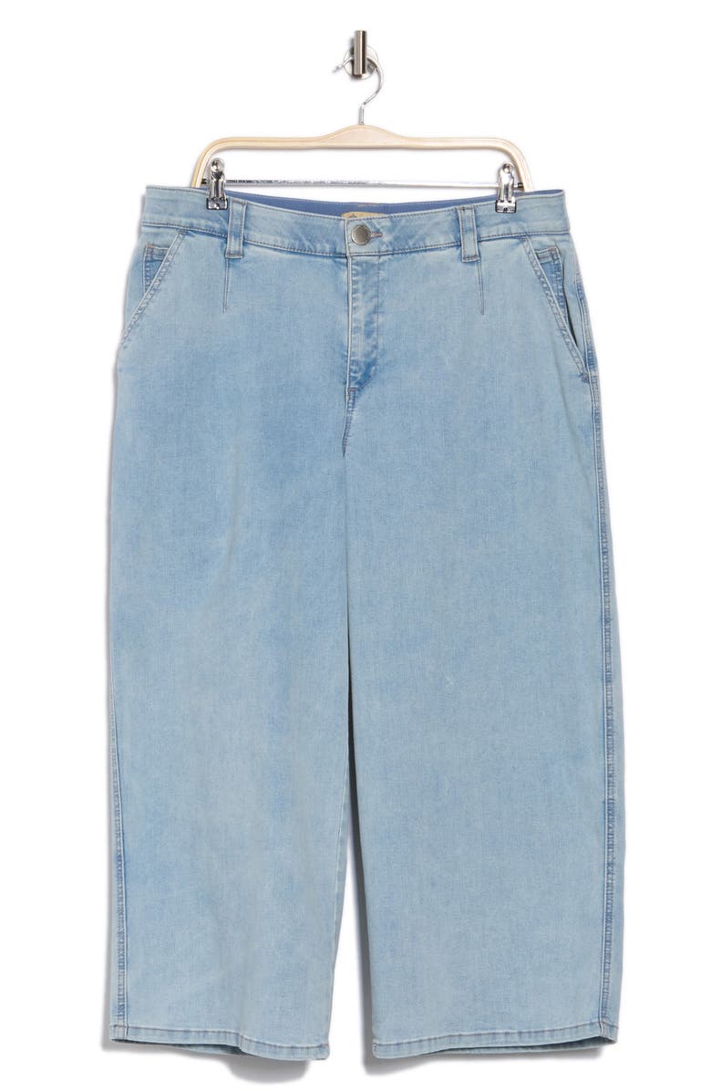 Democracy Crop Wide Leg Boyfriend Jeans, Alternate, color, Light Blue