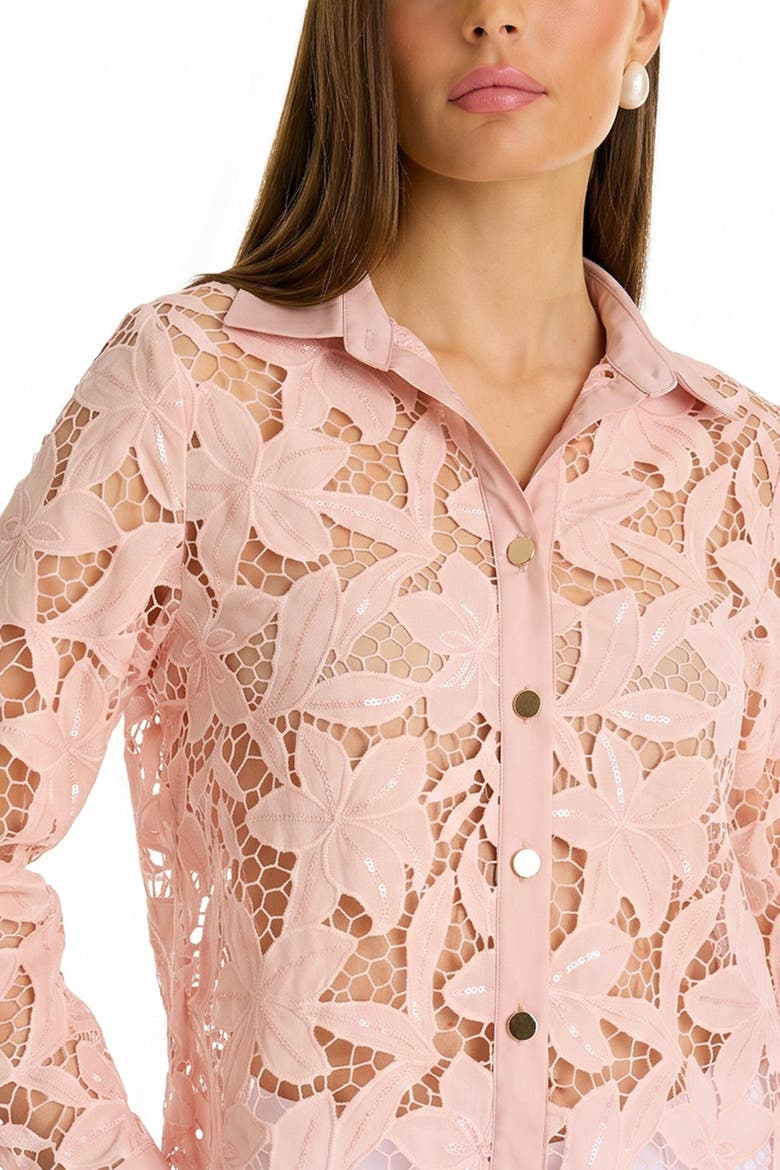 Mina Lace Blouse, Alternate, color, Blush