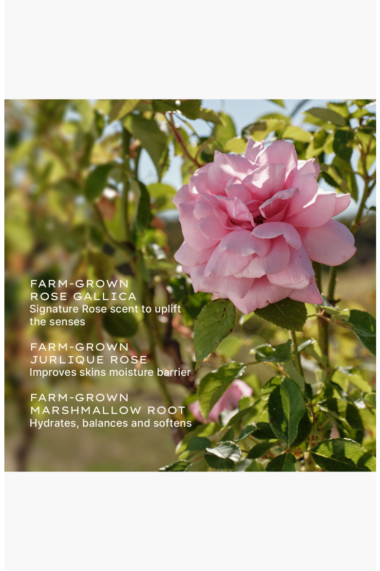 Rare Rose Face Serum, Alternate, color, None