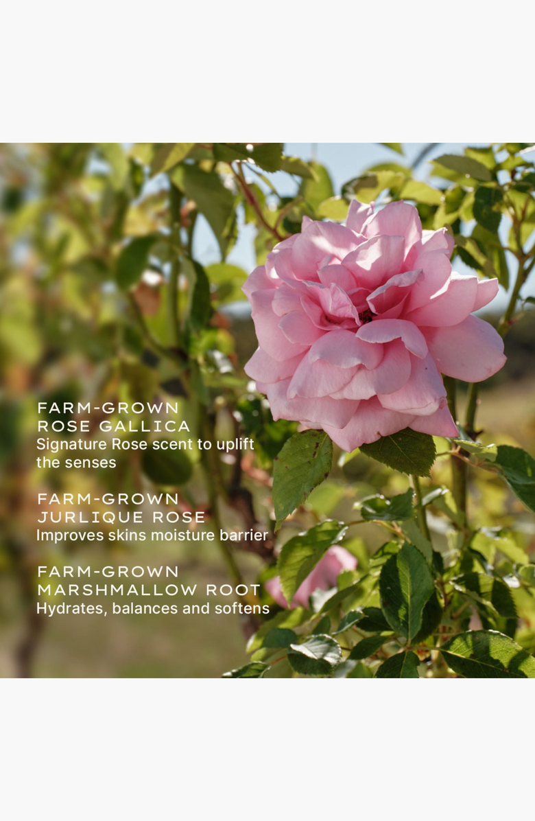 JURLIQUE Rare Rose Face Serum, Alternate, color, NO COLOR