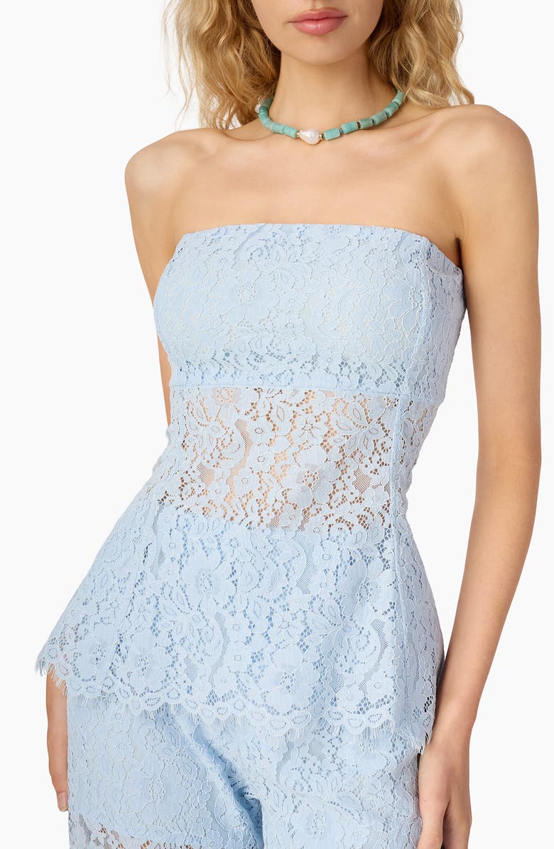 CAMI NYC Bijou Strapless Sheer Lace Top, Main, color, Dew
