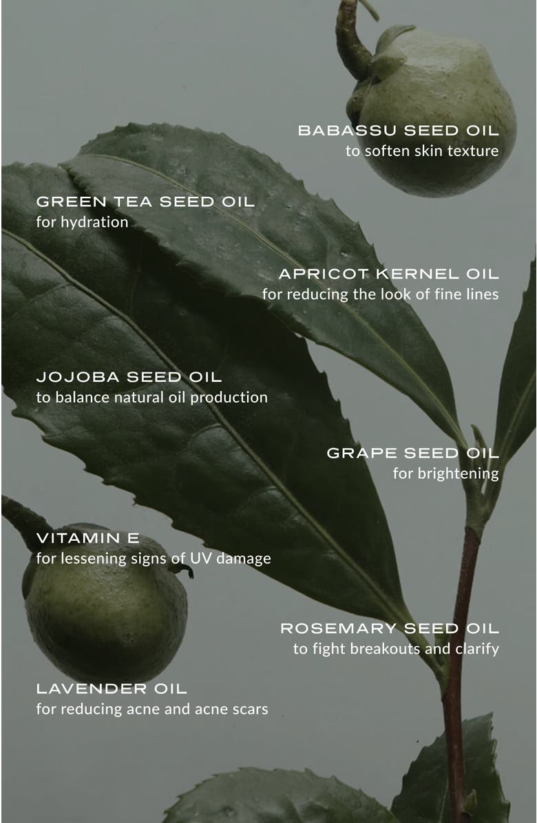 WYLYS Phyto Green Cleansing Balm & Sage Verte Makeup Bag, Alternate, color, Green