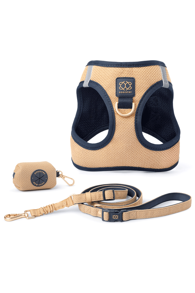 SoHo Dog Walking Set, Main, color, Dune