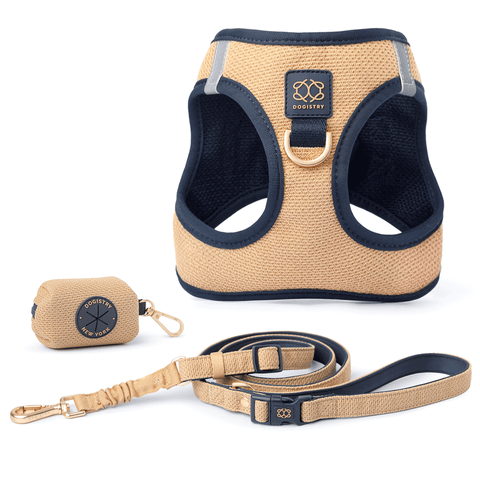 SoHo Dog Walking Set