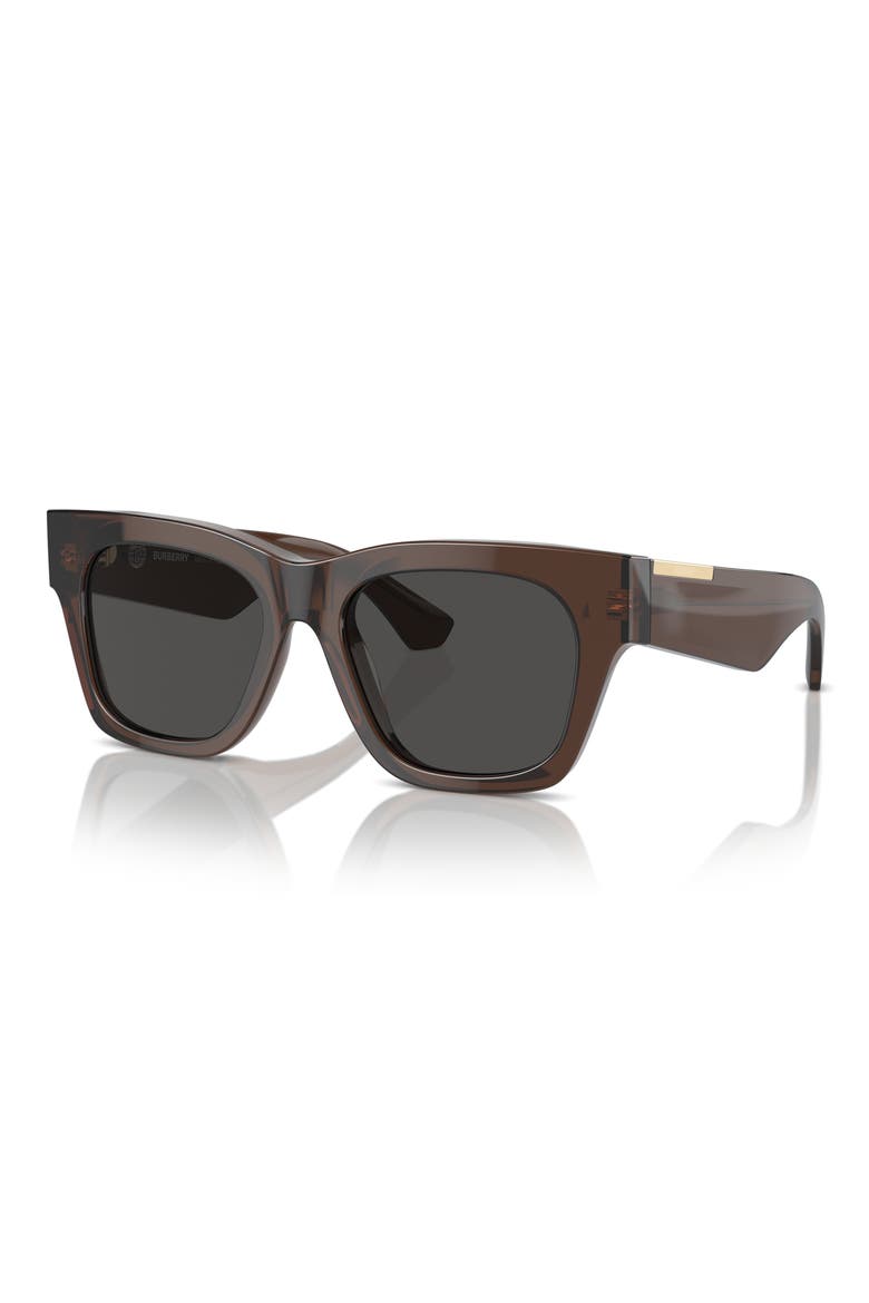 Elevated Check 52mm Square Sunglasses, Alternate, color, BROWN