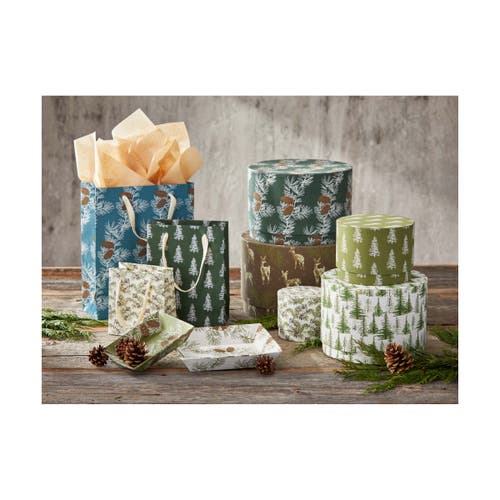 Tag Wilde Pine Catch All Tray In Multi