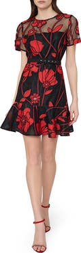 Milly Rosie Grand Fleur Embroidered Dress