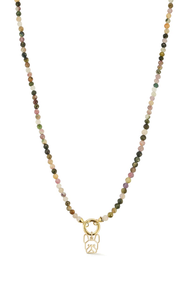 Ember Fine Jewelry 14K Yellow Gold Dog Charm Beaded Necklace, Main, color, Gold