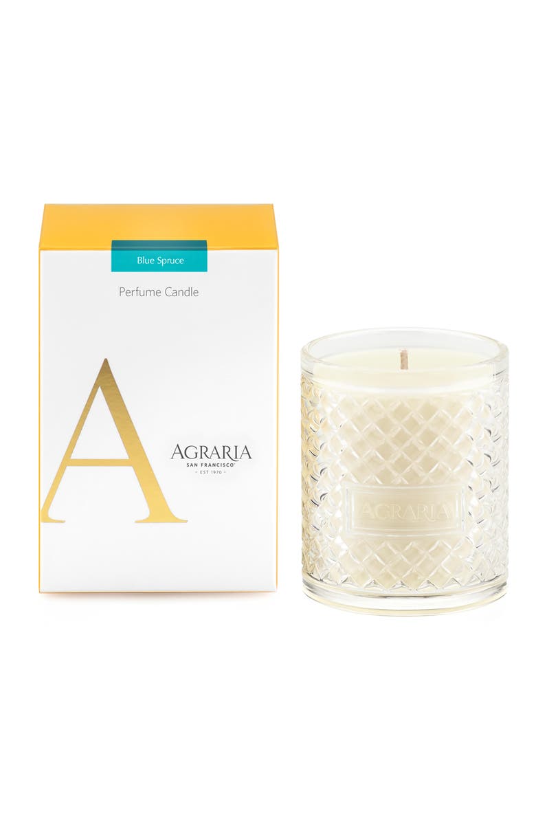 Agraria San Francisco Perfume Candle, Main, color, Blue Spruce