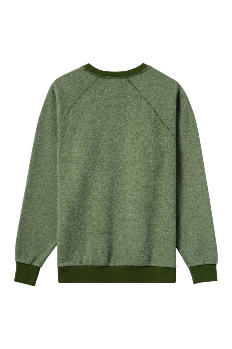 BlanketBlend Unisex Crewneck, Alternate, color, Iguana