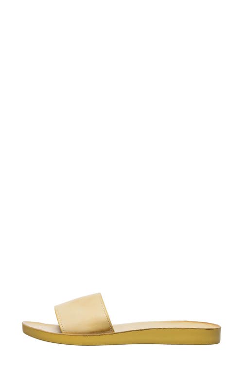 Antelope Adica Slide Sandal In Yellow