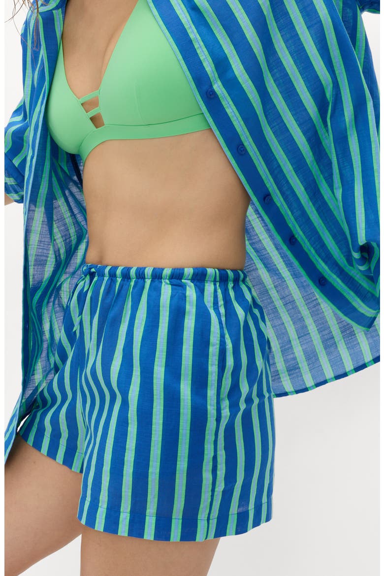 Stripe Cotton Shorts, Alternate, color, BLUE/ MULTI