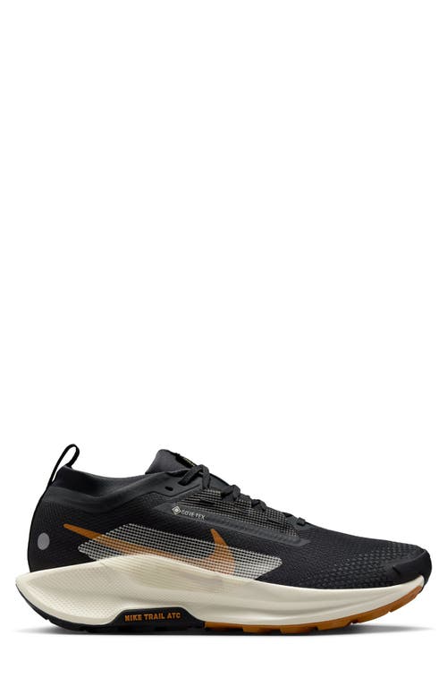 Nike Men's Pegasus Trail 5 Gore-tex Waterproof Trail Running Shoes In Off Noir/pale Ivory/black