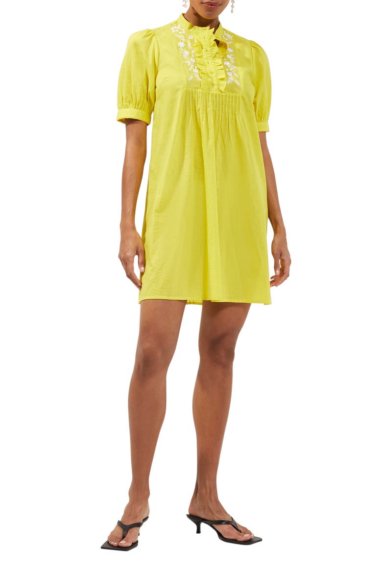 French Connection Alowie Embroidered Organic Cotton Shift Dress (Women)