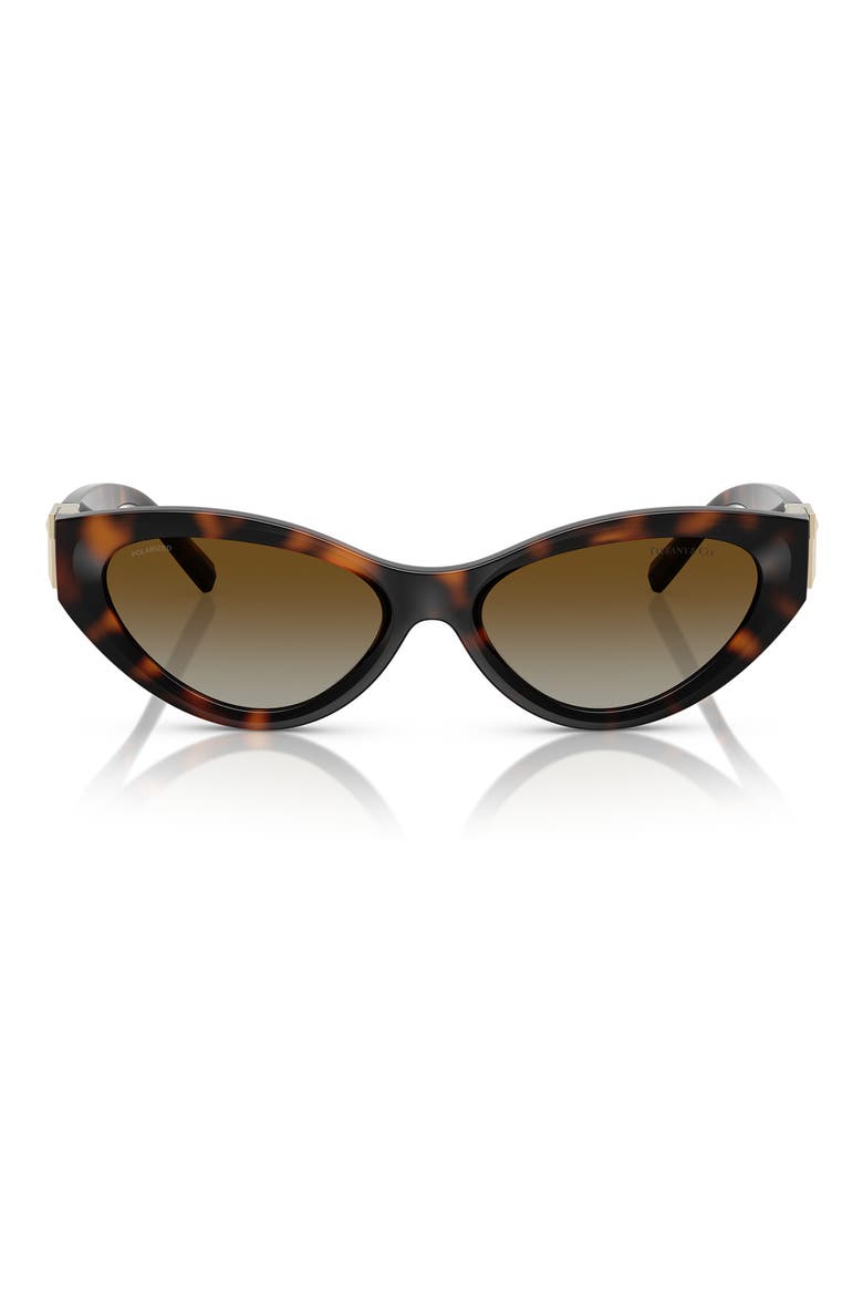54mm Polarized Gradient Oval Sunglasses, Main, color, HAVANA