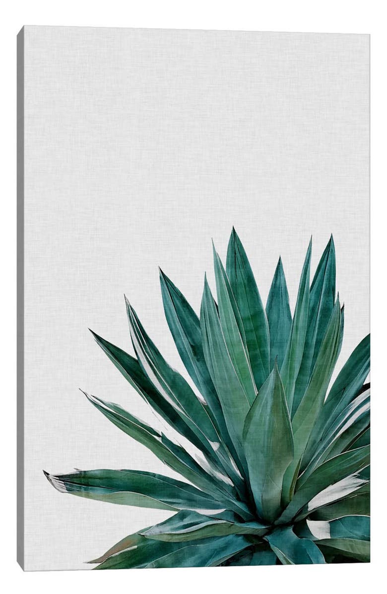 iCanvas Plants, Flowers & Trees Canvas Artwork, Main, color, Green Flora