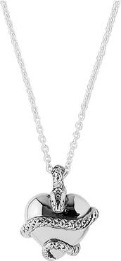 Astor & Orion Wise Heart Charm Necklace