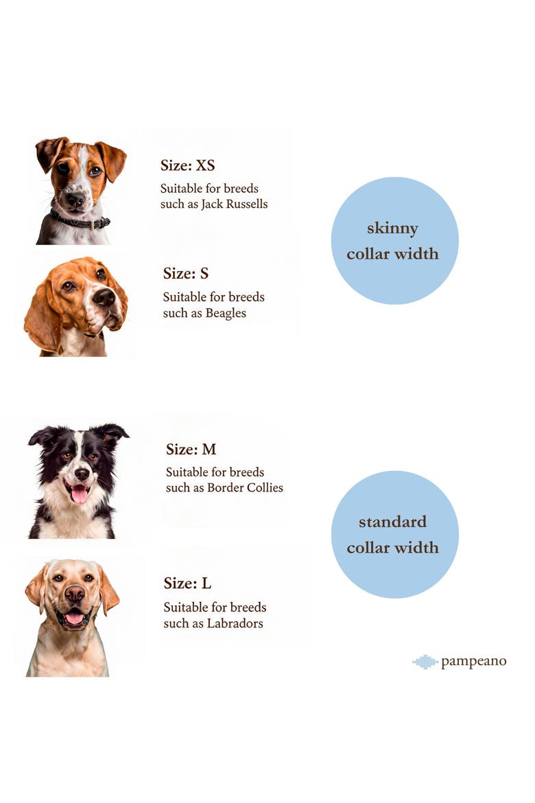 Dog Collar - Multi, Alternate, color, Brown/Navy/Red/Blue