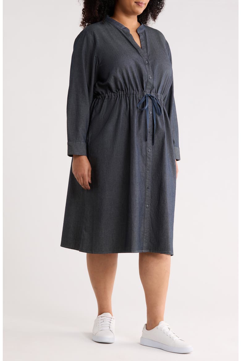 Organic Cotton Mandarin Collar Dress, Alternate, color, DENIM