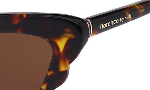 Florence By Mills 51mm Butterfly Sunglasses In Brown